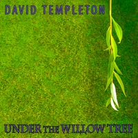 Under the Willow Tree Cover